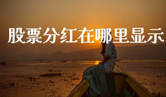 股票分红在哪里显示_https://m.letulww.com_期货开户保证金_第1张