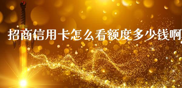 招商信用卡怎么看额度多少钱啊_https://m.letulww.com_期货交易策略_第1张