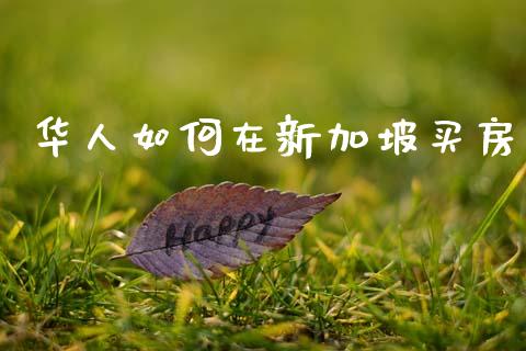 华人如何在新加坡买房_https://m.letulww.com_股指期货交易时间_第1张