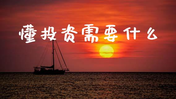 懂投资需要什么_https://m.letulww.com_期货交易软件_第1张