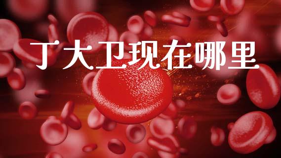 丁大卫现在哪里_https://m.letulww.com_期货交易软件_第1张