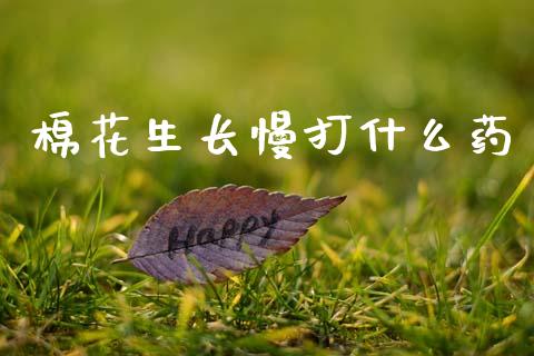 棉花生长慢打什么药_https://m.letulww.com_股指期货交易时间_第1张