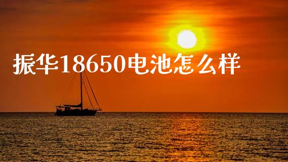 振华18650电池怎么样_https://m.letulww.com_期货交易策略_第1张