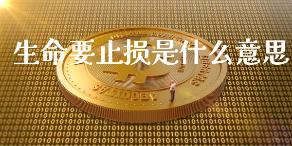 生命要止损是什么意思_https://m.letulww.com_股指期货交易时间_第1张