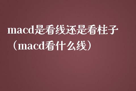 macd是看线还是看柱子（macd看什么线）_https://m.letulww.com_期货交易软件_第1张