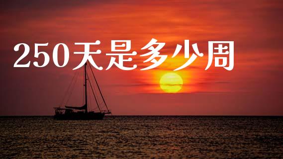 250天是多少周_https://m.letulww.com_期货交易软件_第1张