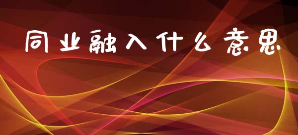 同业融入什么意思_https://m.letulww.com_期货交易策略_第1张