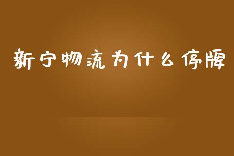 新宁物流为什么停牌_https://m.letulww.com_股指期货交易时间_第1张