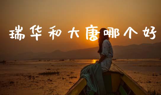 瑞华和大唐哪个好_https://m.letulww.com_股指期货交易时间_第1张