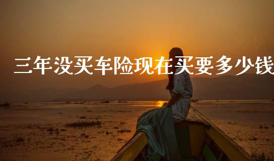 三年没买车险现在买要多少钱_https://m.letulww.com_期货交易软件_第1张