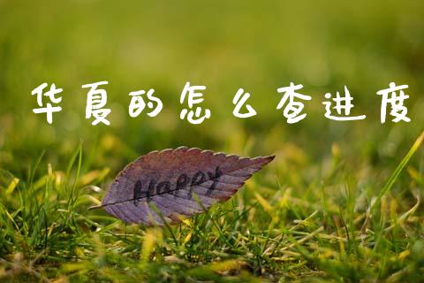 华夏的怎么查进度_https://m.letulww.com_期货开户保证金_第1张