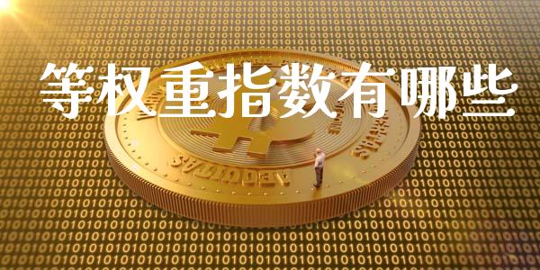 等权重指数有哪些_https://m.letulww.com_期货交易软件_第1张