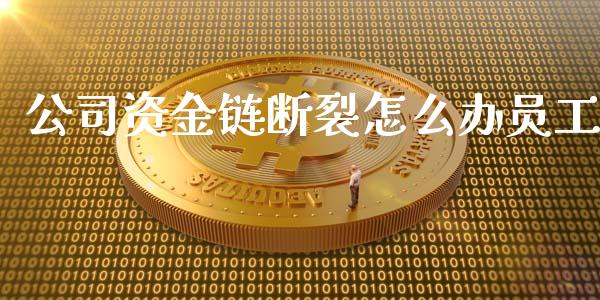公司资金链断裂怎么办员工_https://m.letulww.com_期货交易软件_第1张