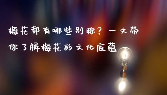 梅花都有哪些别称？一文带你了解梅花的文化底蕴_https://m.letulww.com_期货交易策略_第1张