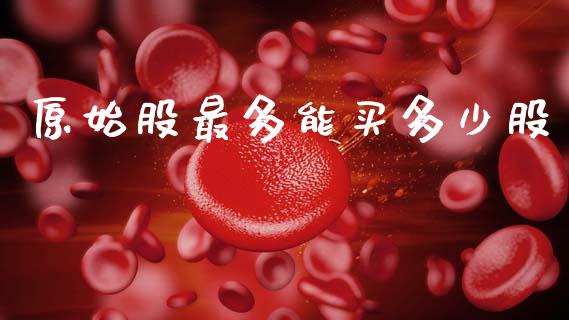 原始股最多能买多少股_https://m.letulww.com_股指期货交易时间_第1张