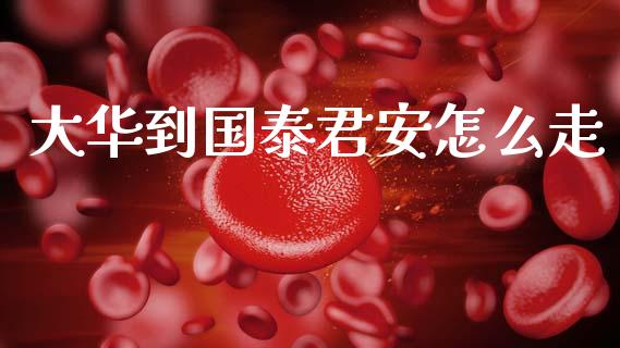 大华到国泰君安怎么走_https://m.letulww.com_股指期货交易时间_第1张