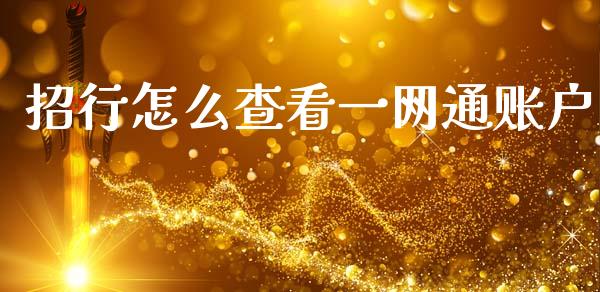 招行怎么查看一网通账户_https://m.letulww.com_股指期货交易时间_第1张