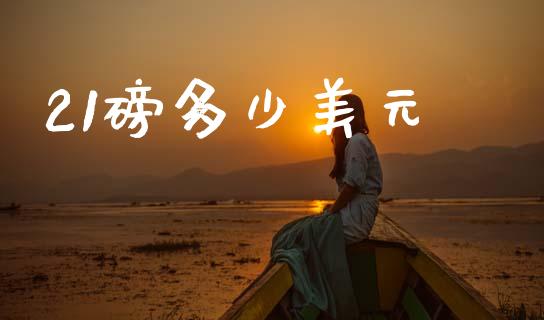 21磅多少美元_https://m.letulww.com_期货交易软件_第1张