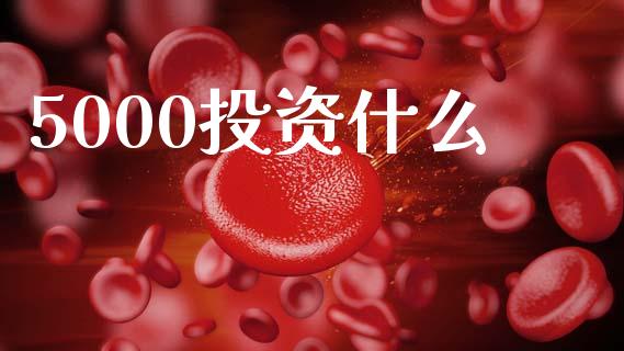 5000投资什么_https://m.letulww.com_期货交易软件_第1张