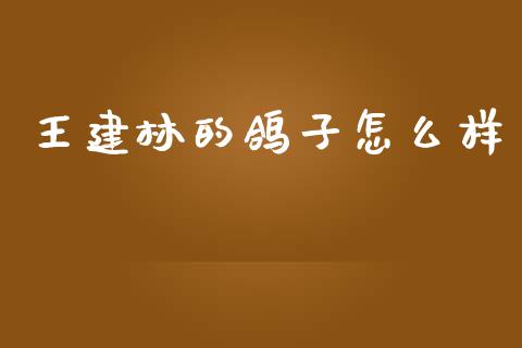王建林的鸽子怎么样_https://m.letulww.com_期货交易软件_第1张