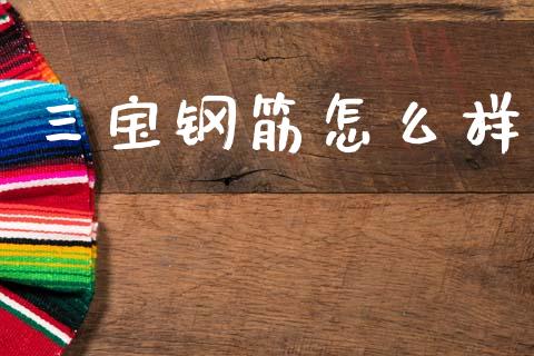 三宝钢筋怎么样_https://m.letulww.com_期货交易策略_第1张