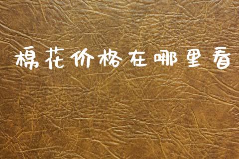 棉花价格在哪里看_https://m.letulww.com_期货交易策略_第1张