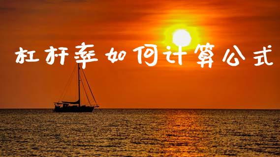 杠杆率如何计算公式_https://m.letulww.com_股指期货交易时间_第1张