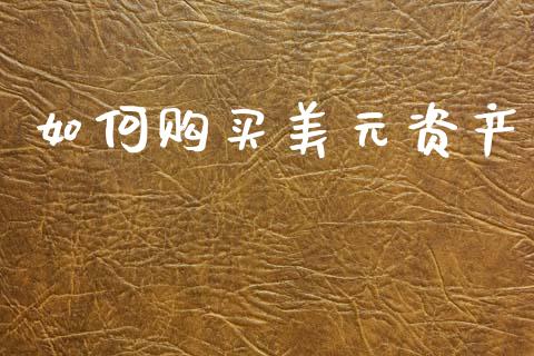 如何购买美元资产_https://m.letulww.com_股指期货交易时间_第1张