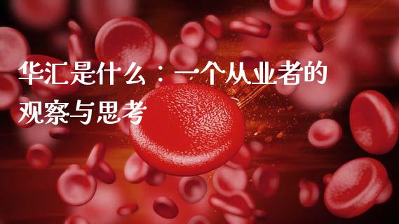 华汇是什么：一个从业者的观察与思考_https://m.letulww.com_期货开户保证金_第1张