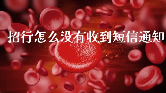 招行怎么没有收到短信通知_https://m.letulww.com_期货开户保证金_第1张