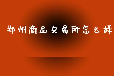 郑州商品交易所怎么样_https://m.letulww.com_股指期货交易时间_第1张