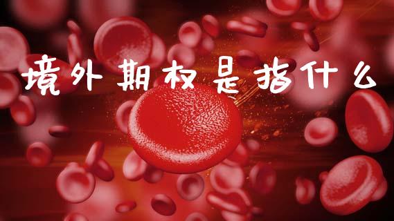 境外期权是指什么_https://m.letulww.com_股指期货交易时间_第1张