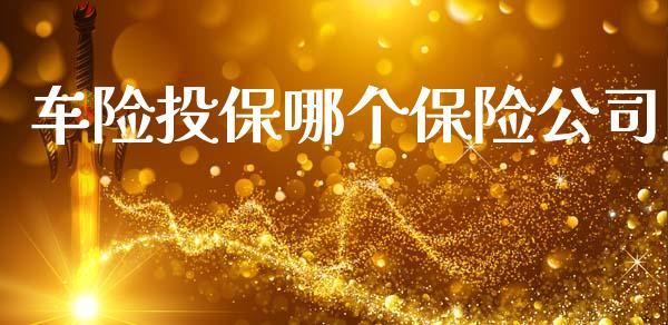 车险投保哪个保险公司_https://m.letulww.com_期货开户保证金_第1张