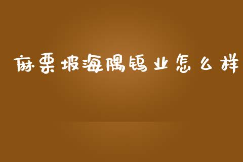 麻栗坡海隅钨业怎么样_https://m.letulww.com_期货交易策略_第1张