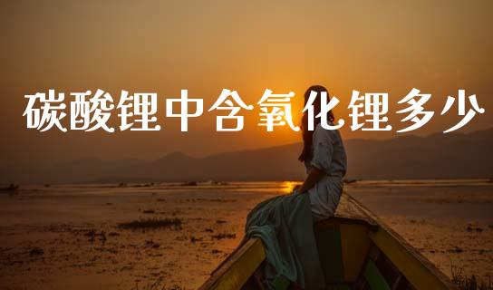 碳酸锂中含氧化锂多少_https://m.letulww.com_期货交易策略_第1张