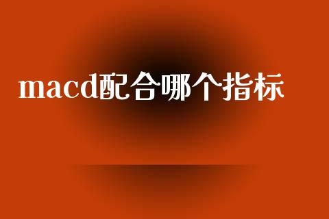 macd配合哪个指标_https://m.letulww.com_股指期货交易时间_第1张