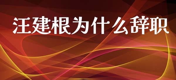 汪建根为什么辞职_https://m.letulww.com_期货交易策略_第1张
