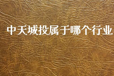 中天城投属于哪个行业_https://m.letulww.com_期货开户保证金_第1张
