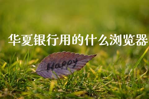 华夏银行用的什么浏览器_https://m.letulww.com_期货开户保证金_第1张
