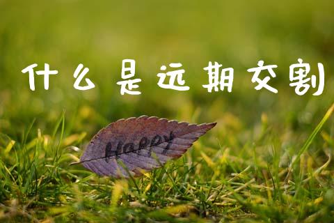 什么是远期交割_https://m.letulww.com_期货开户保证金_第1张