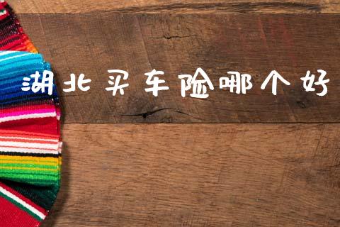 湖北买车险哪个好_https://m.letulww.com_股指期货交易时间_第1张