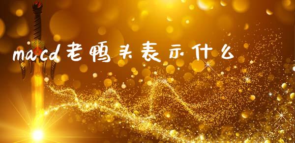 macd老鸭头表示什么_https://m.letulww.com_期货交易软件_第1张