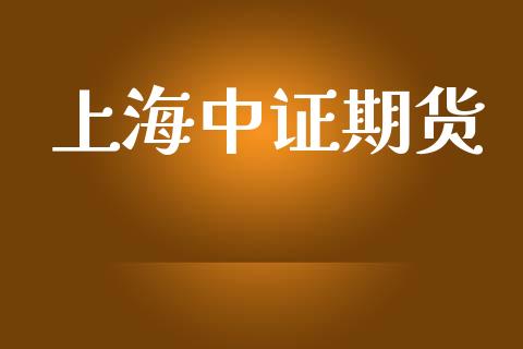 上海中证期货_https://m.letulww.com_股指期货交易时间_第1张