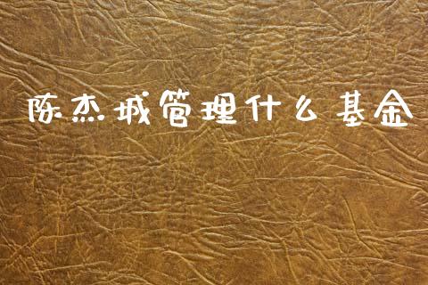 陈杰城管理什么基金_https://m.letulww.com_期货开户保证金_第1张