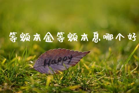 等额本金等额本息哪个好_https://m.letulww.com_股指期货交易时间_第1张