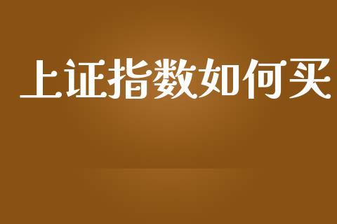 上证指数如何买_https://m.letulww.com_期货开户保证金_第1张