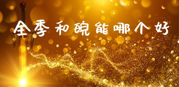 全季和皖能哪个好_https://m.letulww.com_期货交易软件_第1张
