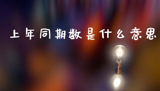 上年同期数是什么意思_https://m.letulww.com_期货交易策略_第1张