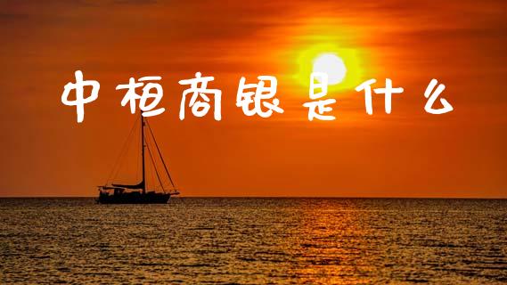 中桓商银是什么_https://m.letulww.com_股指期货交易时间_第1张