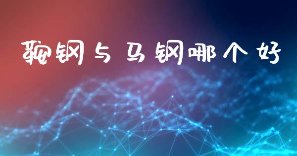 鞍钢与马钢哪个好_https://m.letulww.com_期货交易软件_第1张
